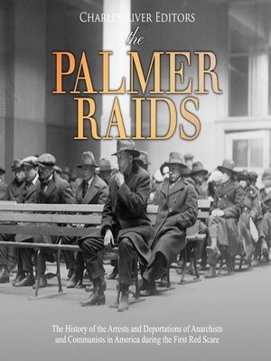 cover image of The Palmer Raids